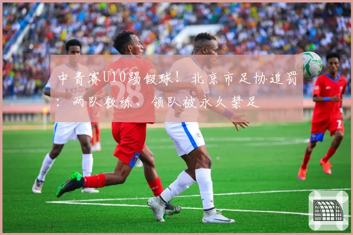 中青赛U10踢假球!北京市足协追罚:两队教练、领队被永久禁足