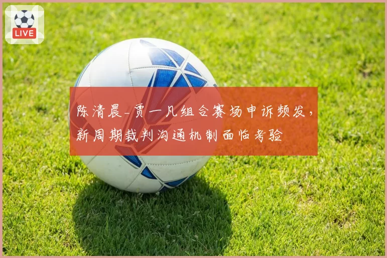 陈清晨_贾一凡组合赛场申诉频发，新周期裁判沟通机制面临考验
