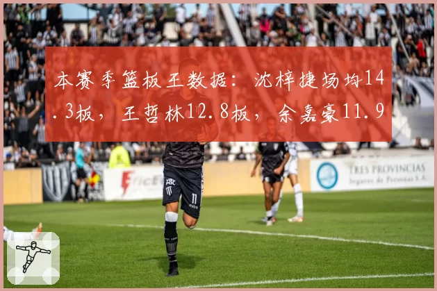 本赛季篮板王数据：沈梓捷场均14.3板，王哲林12.8板，余嘉豪11.9板